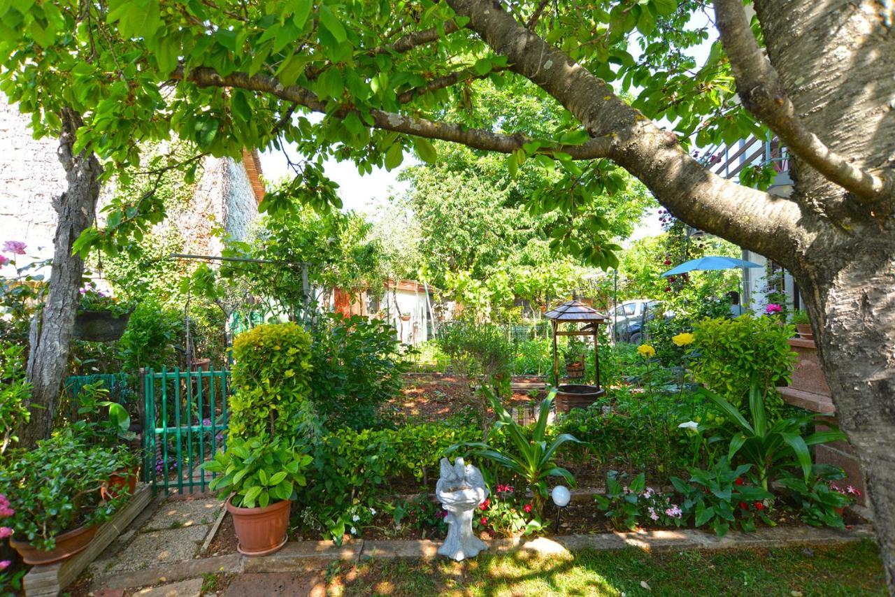 Apartment Danica 358